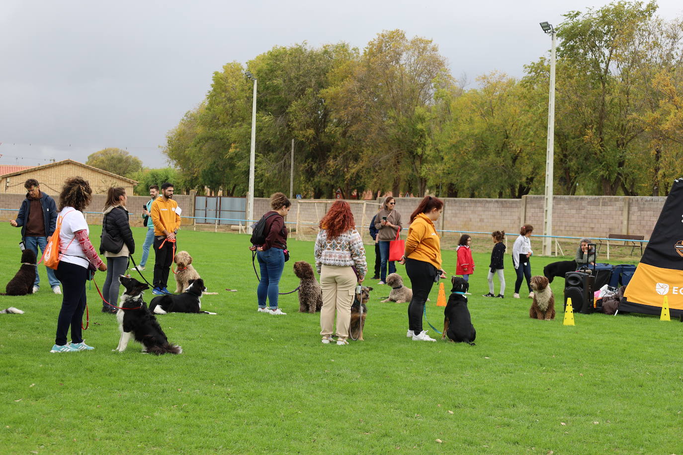 Concurso de mastines y perros de agua en Monzón