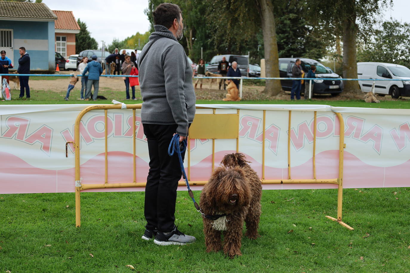 Concurso de mastines y perros de agua en Monzón