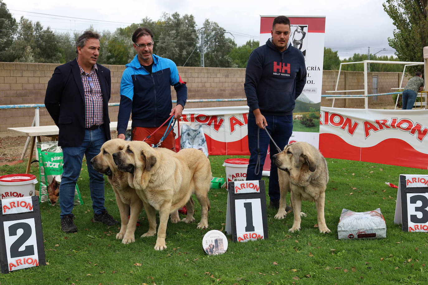 Concurso de mastines y perros de agua en Monzón