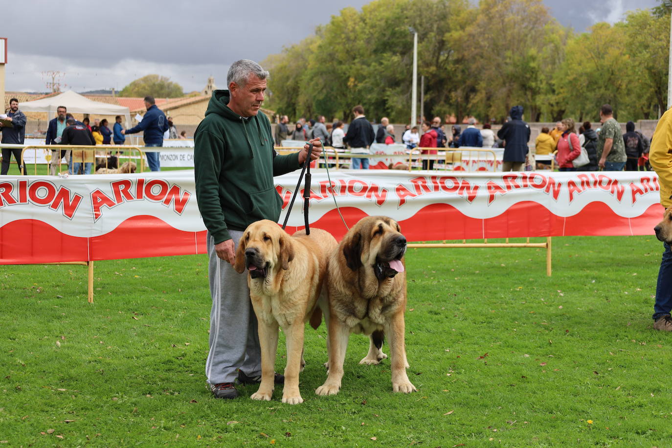 Concurso de mastines y perros de agua en Monzón