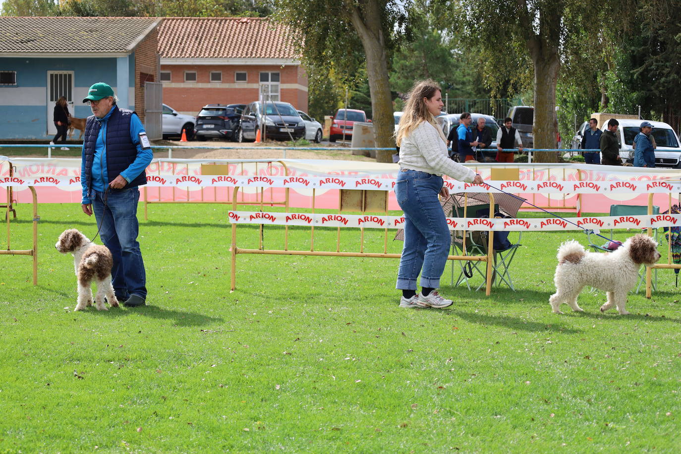 Concurso de mastines y perros de agua en Monzón