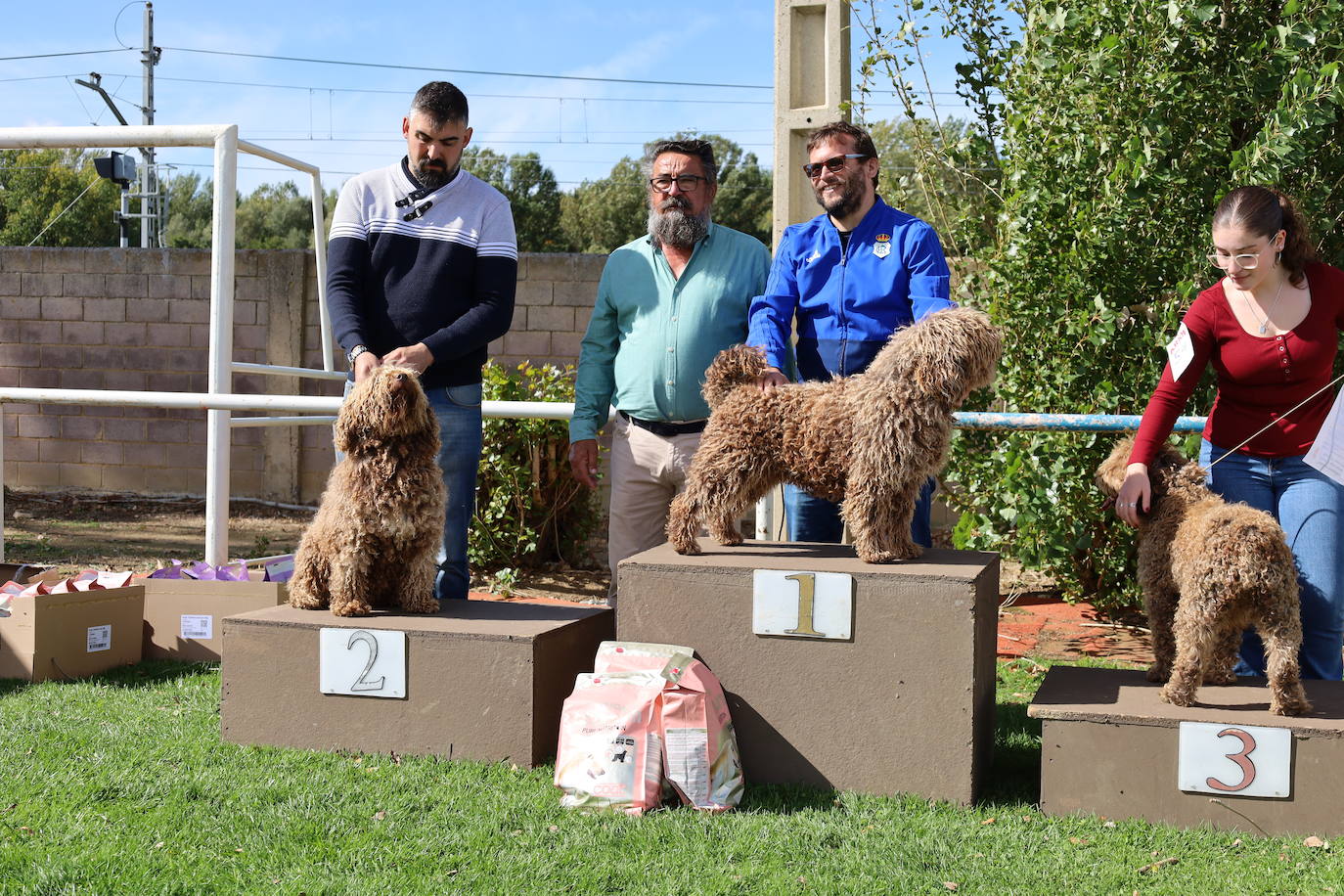 Concurso de mastines y perros de agua en Monzón