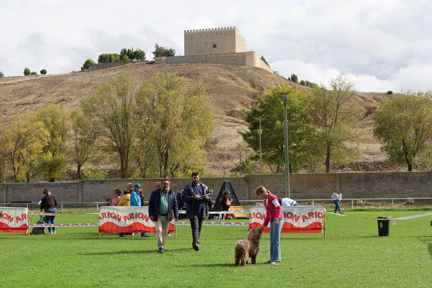 Concurso de mastines y perros de agua en Monzón