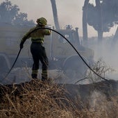 Los medios del Gobierno intervinieron en 195 incendios en la campaña de verano