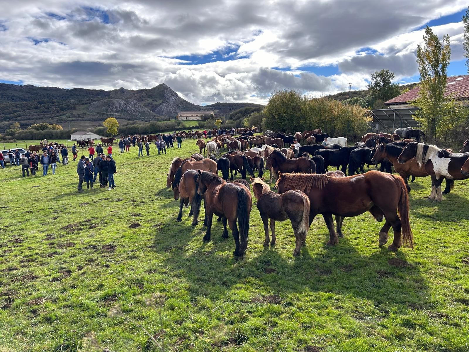 San Salvador de Cantamuda celebra la Feria del Caballo