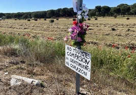 Flores y mensajes escritos en el punto en el que apareció el cuerpo de Esther López.