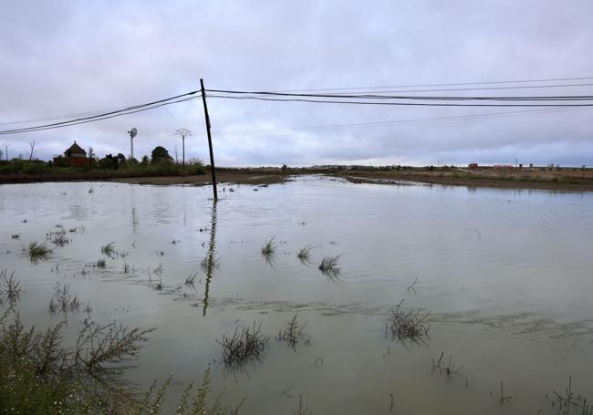 Los postes telefónicos atraviesan las tierras anegadas de agua