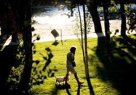 Una mujer pasea con un perro por Las Moreras, en Valladolid.