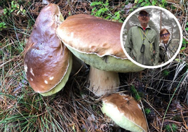 La boletus encontrada y la pareja de cántabros que tuvo la suerte de cruzarse en su camino.