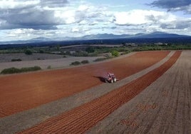 Juan Luis Galán pasa el arado en una parcela de Fuenteguinaldo, en Salamanca.