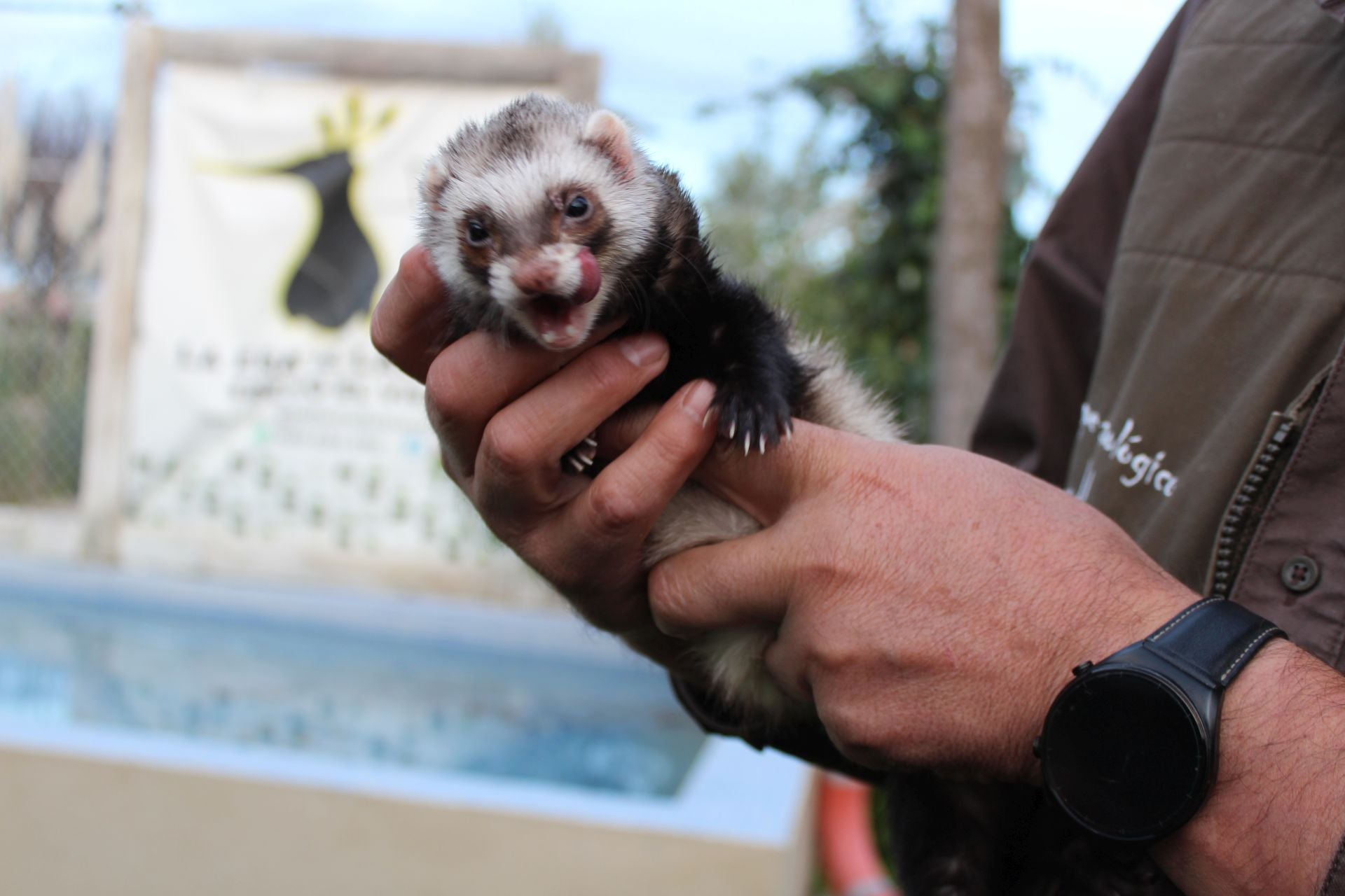 El Zoológico de Fresno el Viejo, en imágenes