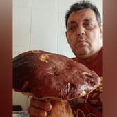 Un boletus de casi 3 kilos en los montes de León: «Lo vimos desde el coche»