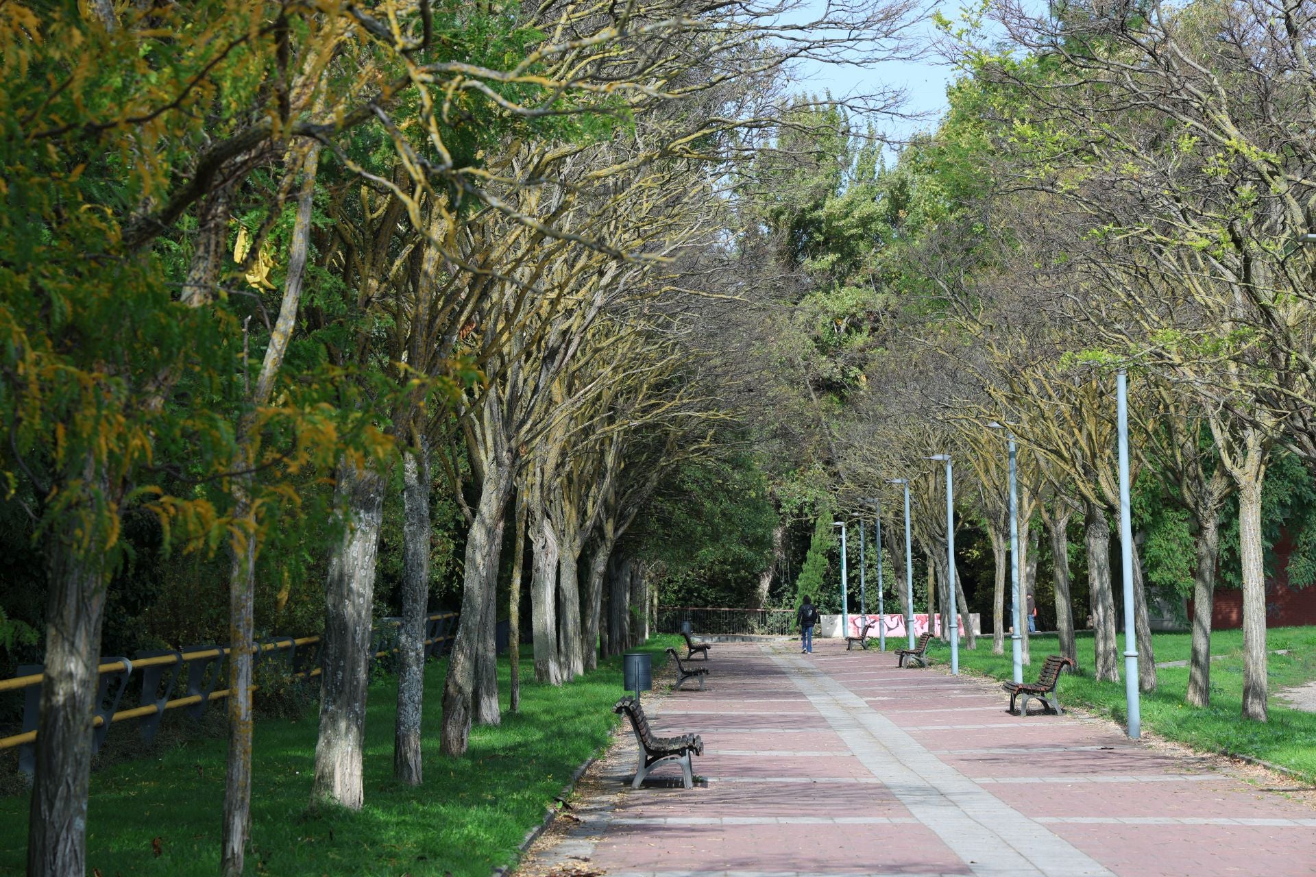 Un paseo en imágenes por el Paseo del Cauce