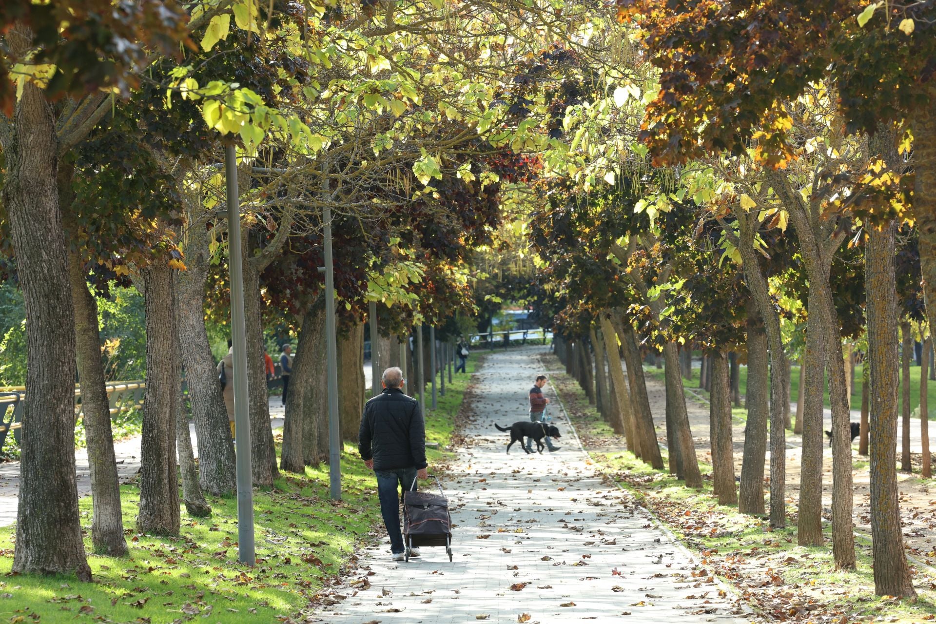 Un paseo en imágenes por el Paseo del Cauce