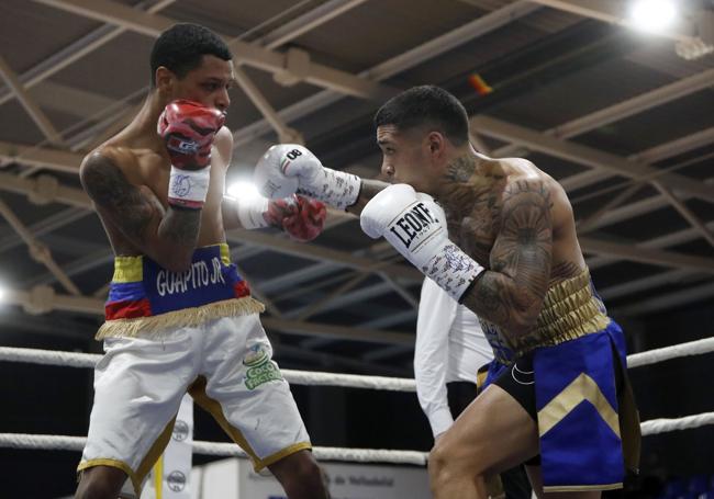 Salvi lanza un gancho a Edison Torres.