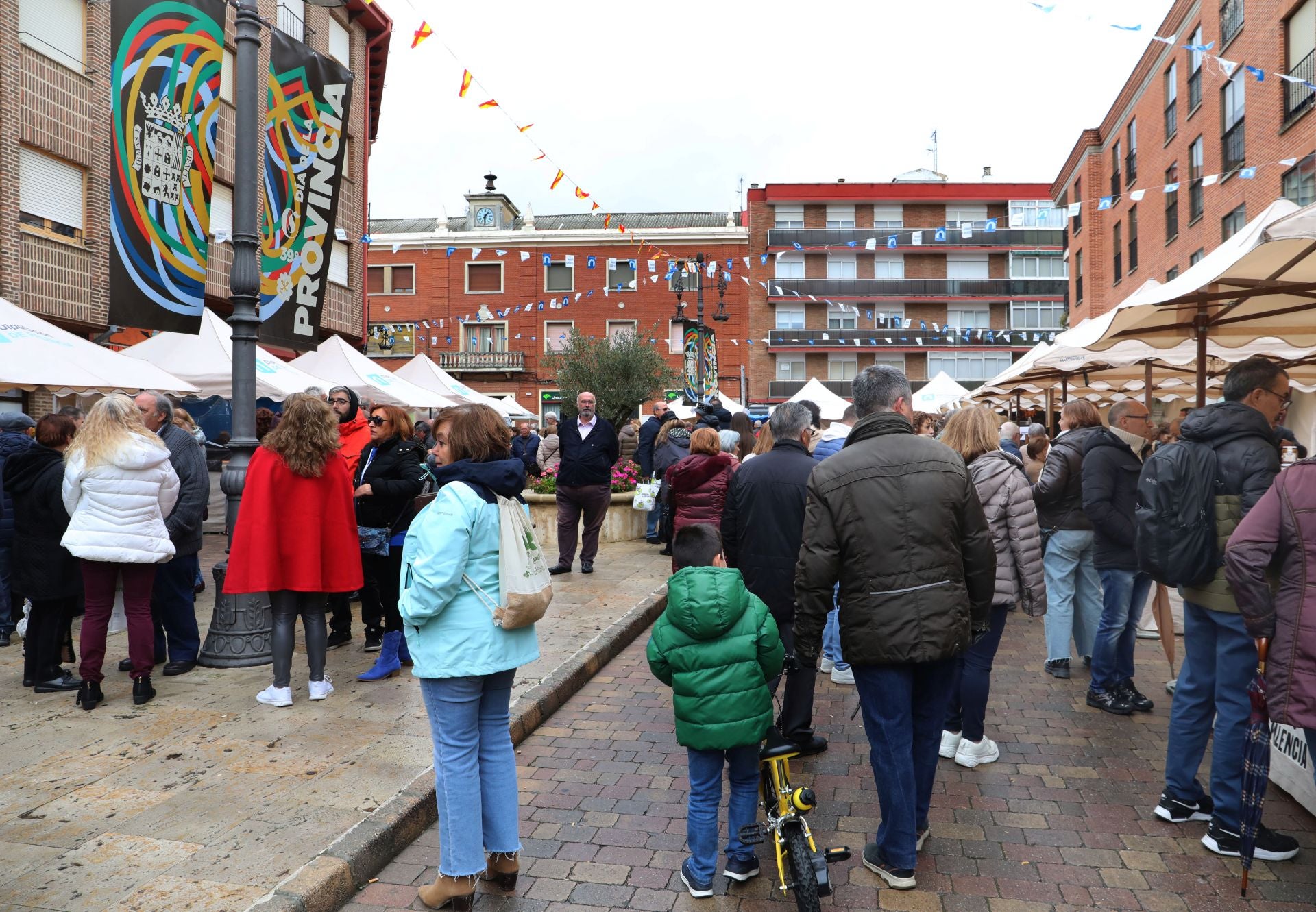 Jornada popular del Día de la Provincia de Palencia en Carrión