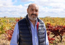 Javier Sanz Cantalapiedra, propietario de la bodega Javier Sanz Viticultor en su viñedo de La Seca, Valladolid.