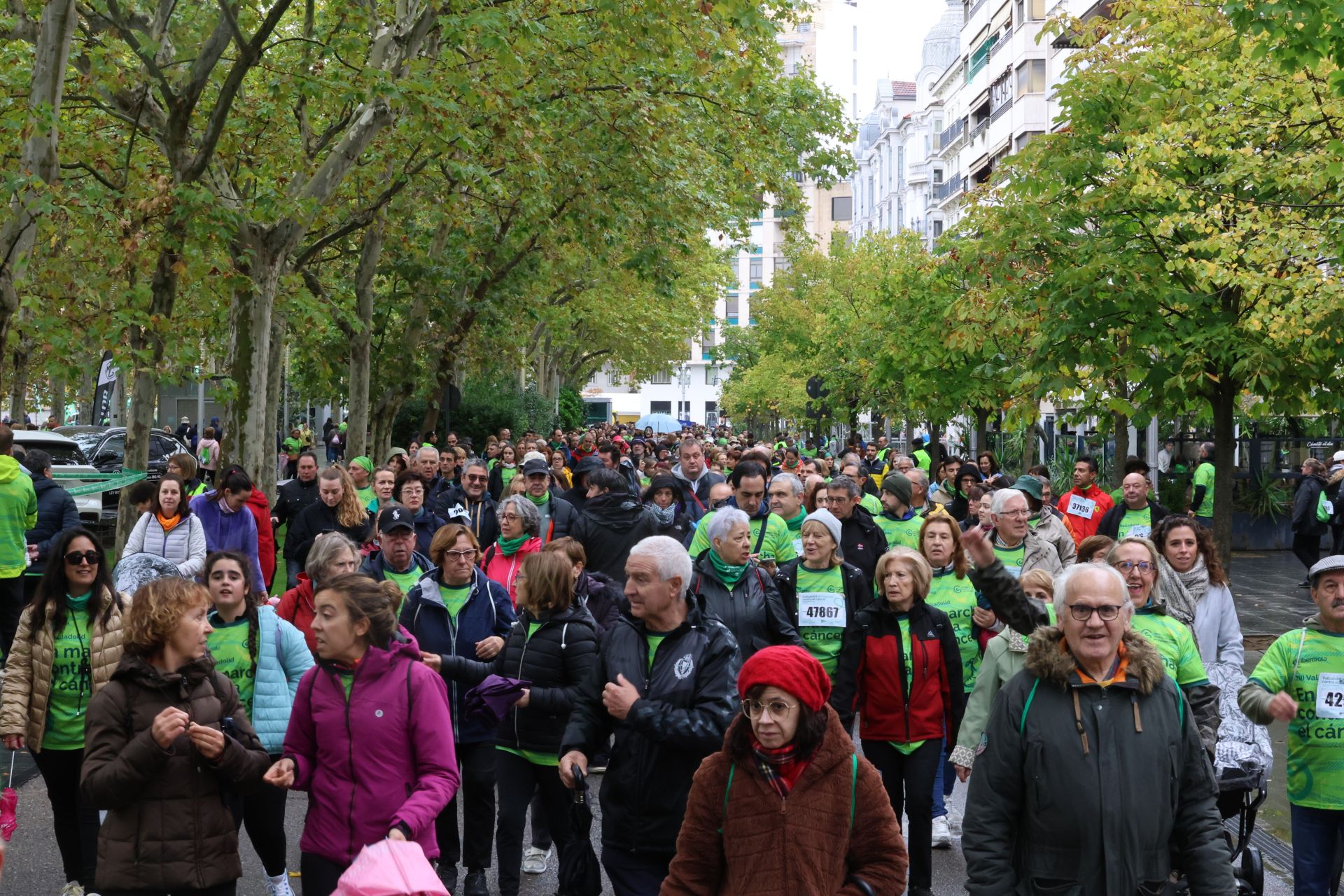 Todas las imágenes de la XIII Marcha contra el cáncer en Valladolid (1/3)