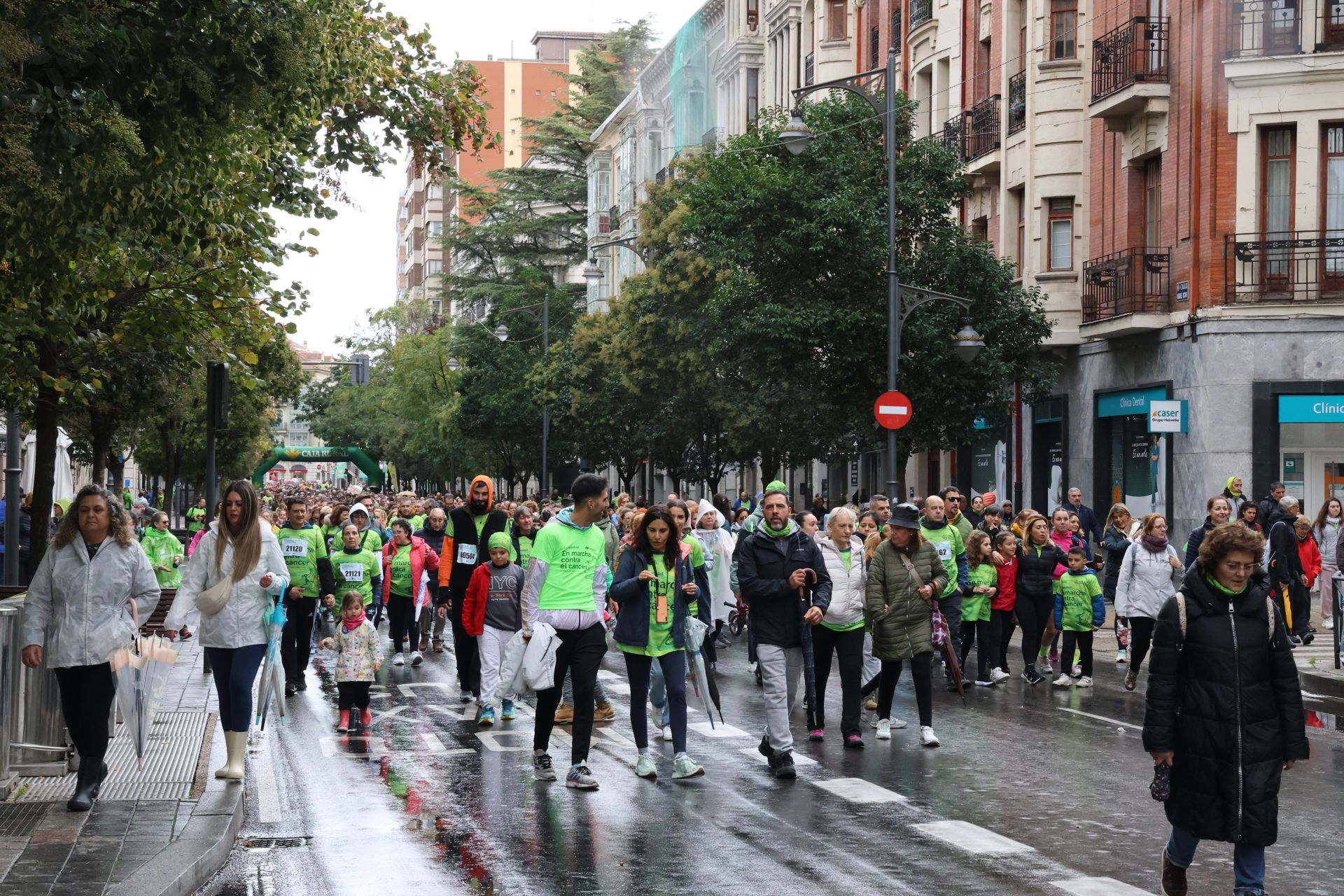 Todas las imágenes de la XIII Marcha contra el cáncer en Valladolid (1/3)