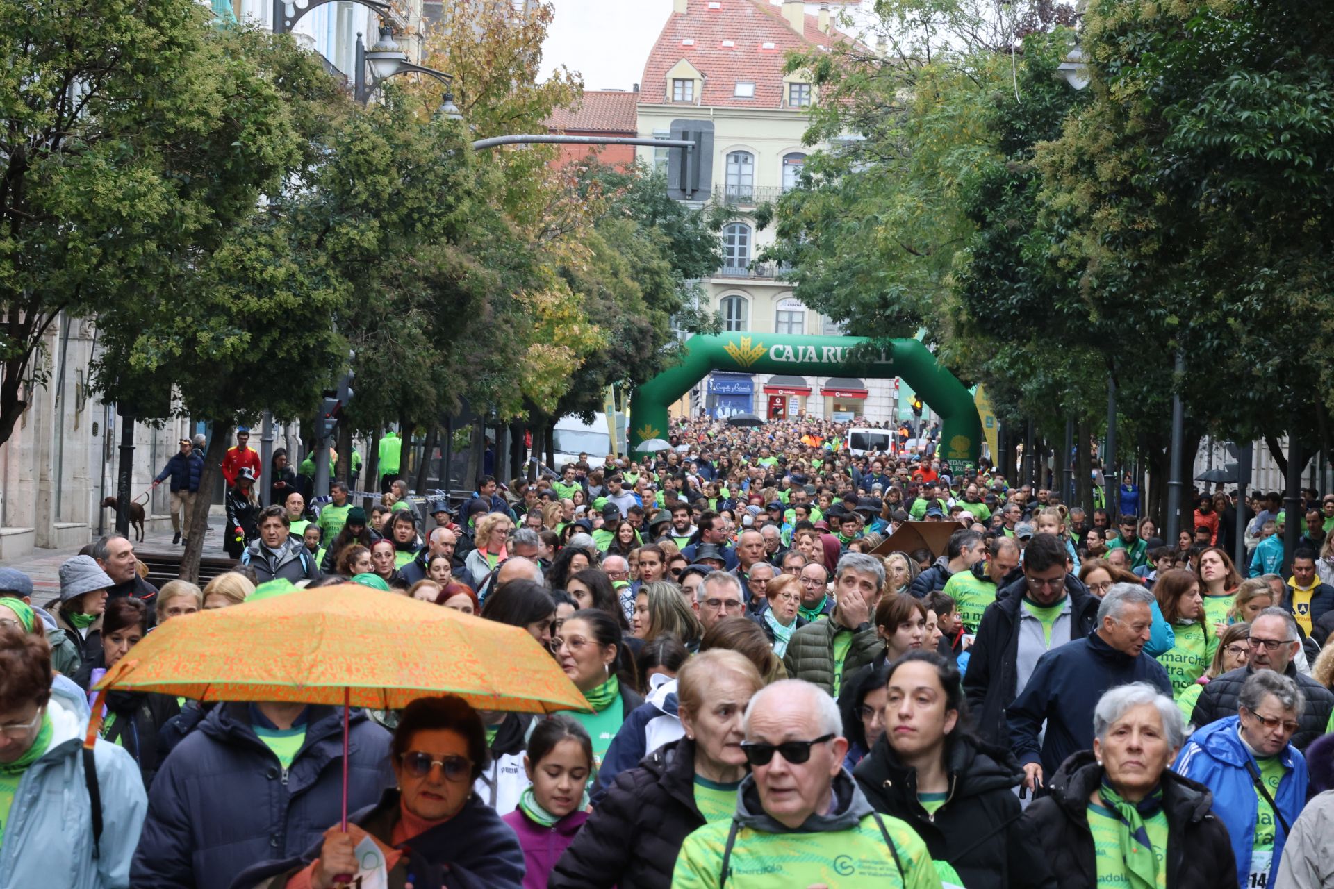 Todas las imágenes de la XIII Marcha contra el cáncer en Valladolid (2/3)