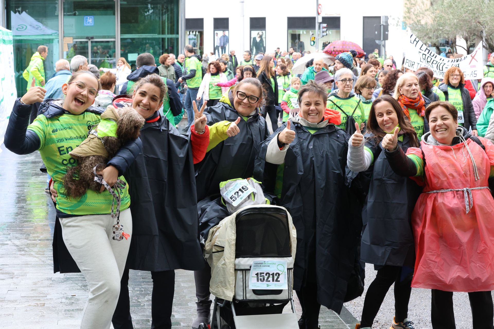 Todas las imágenes de la XIII Marcha contra el cáncer en Valladolid (2/3)