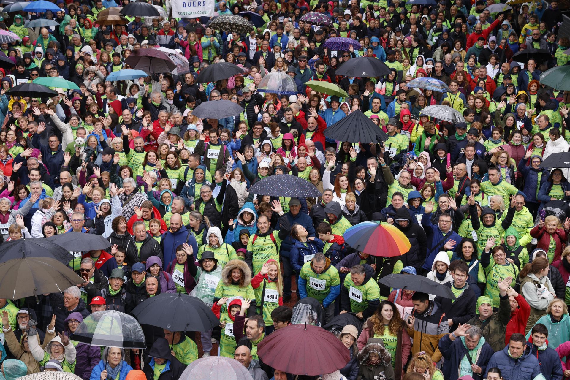 Todas las imágenes de la XIII Marcha contra el cáncer en Valladolid (3/3)