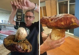 Imagen del boletus recogido por Víctor Diez y su amigo.