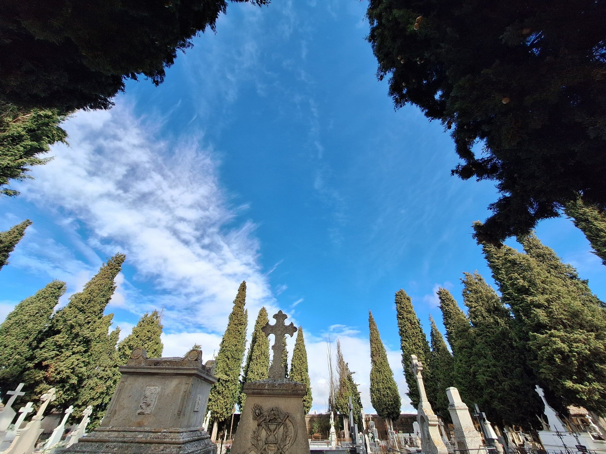 En busca de los epitafios del cementerio de Rioseco