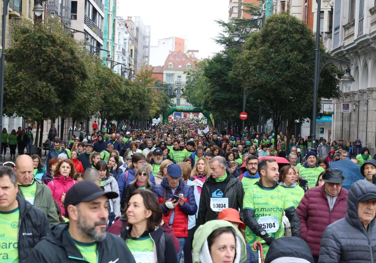 Participantes en la Marcha contra el Cáncer en Valladolid.