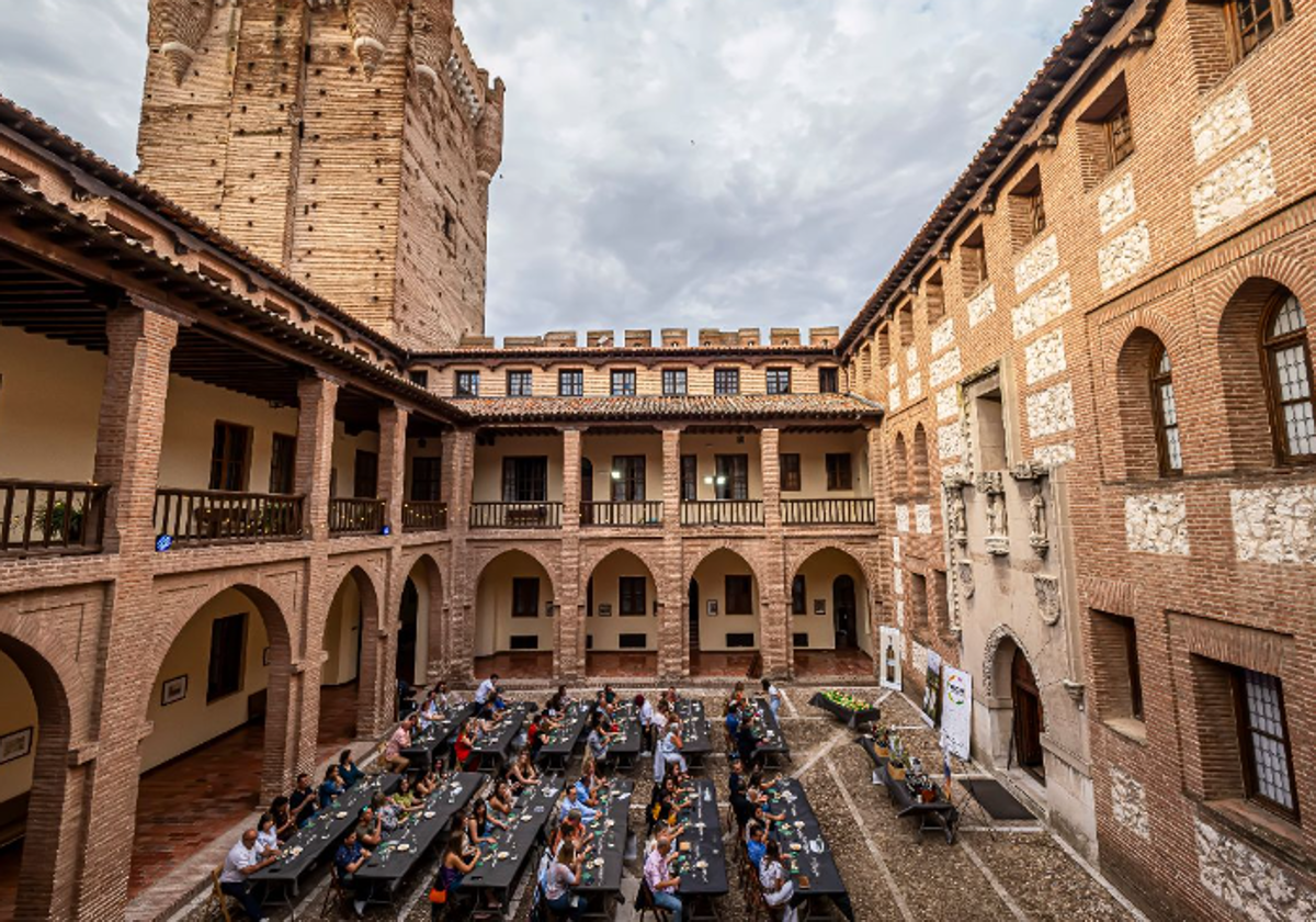 Una de las catas en el Castillo de la Mota de Medina del Campo