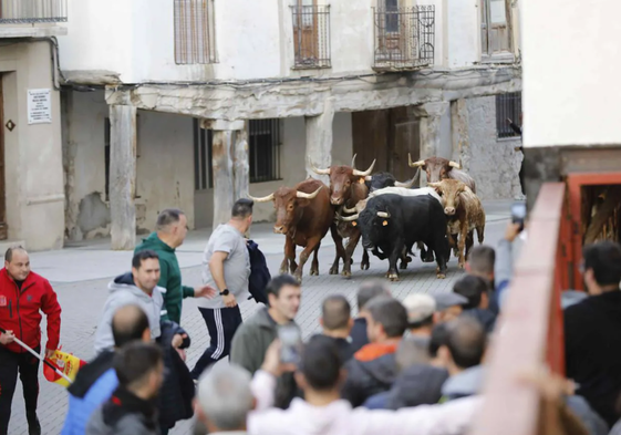 Encierro de las Fiestas de San Martín de Traspinedo de 2023