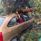 La DANA arranca árboles, destroza coches y daña el tendido eléctrico en El Espinar