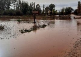 Riberas y campos anegados en las inmediaciones de Languilla, donde deriva el río Agüisejo en el Riaza.