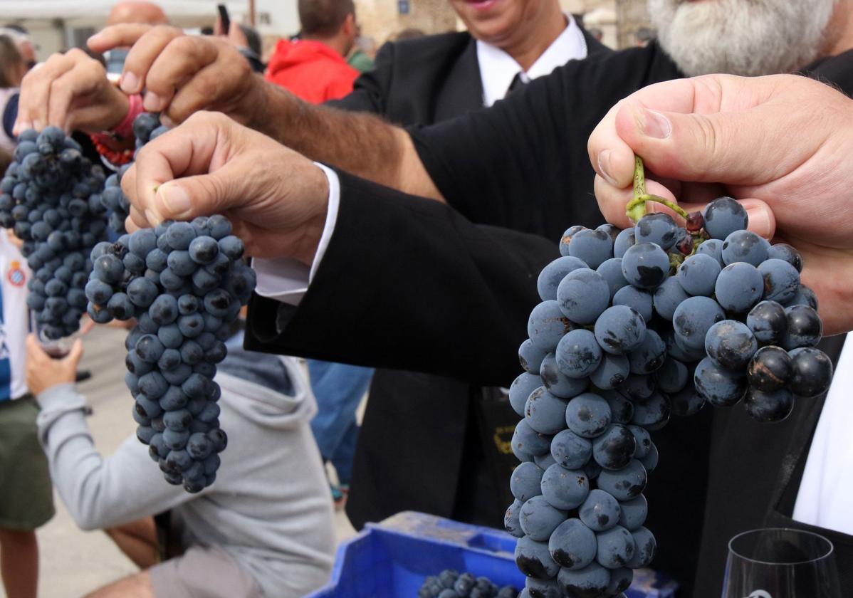 Racimos de uvas en una edición de la Feria de la Vendimia de Valtiendas.