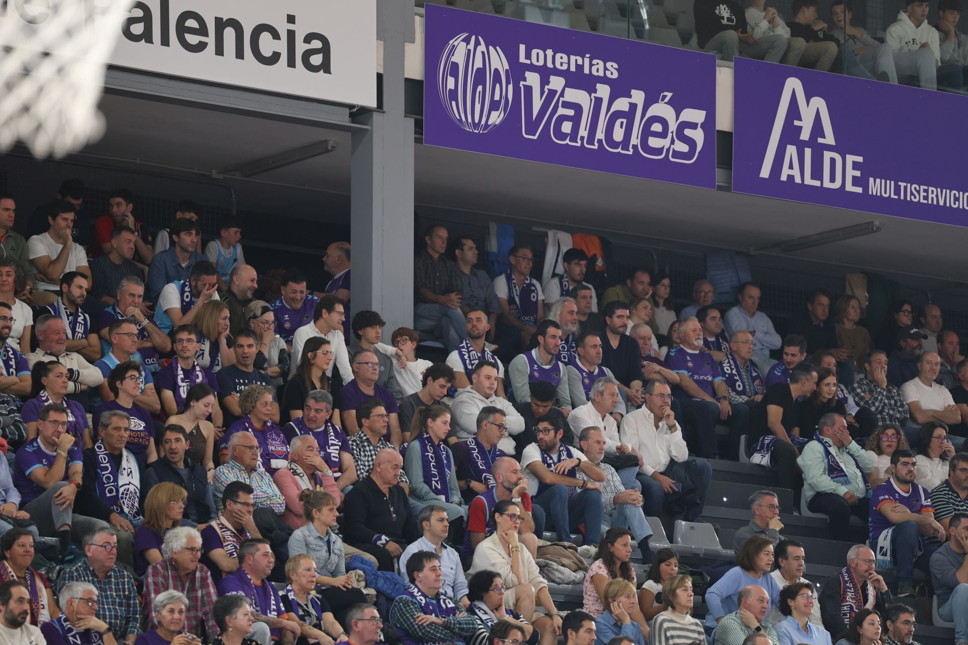 Búscate en las gradas del Súper Agropal Palencia-HLA Alicante