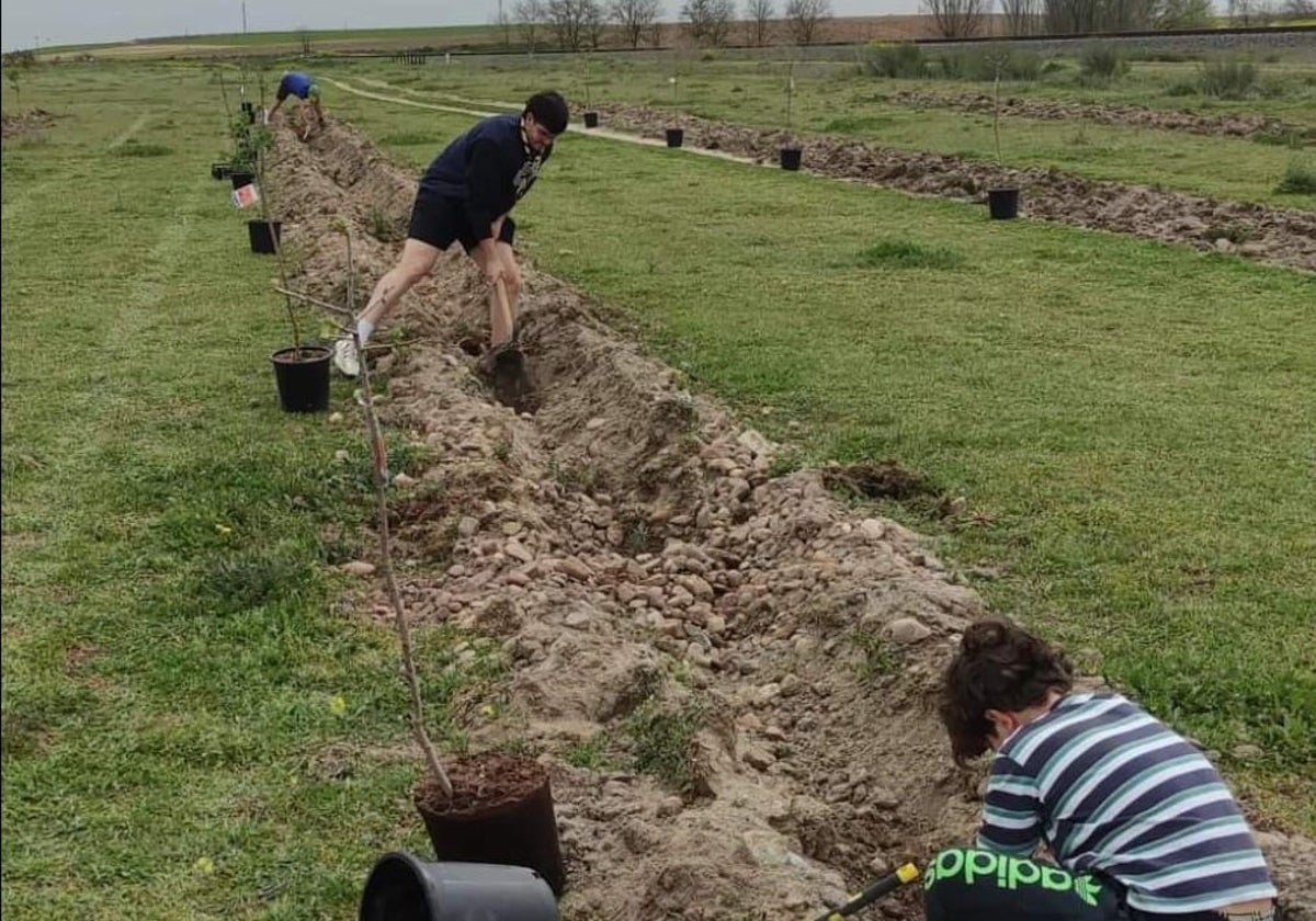 Plantación en 'La Golosa' en el mes de abril