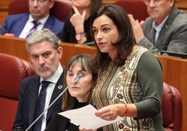 Alicia Palomo pregunta por el CITAR en las Cortes.