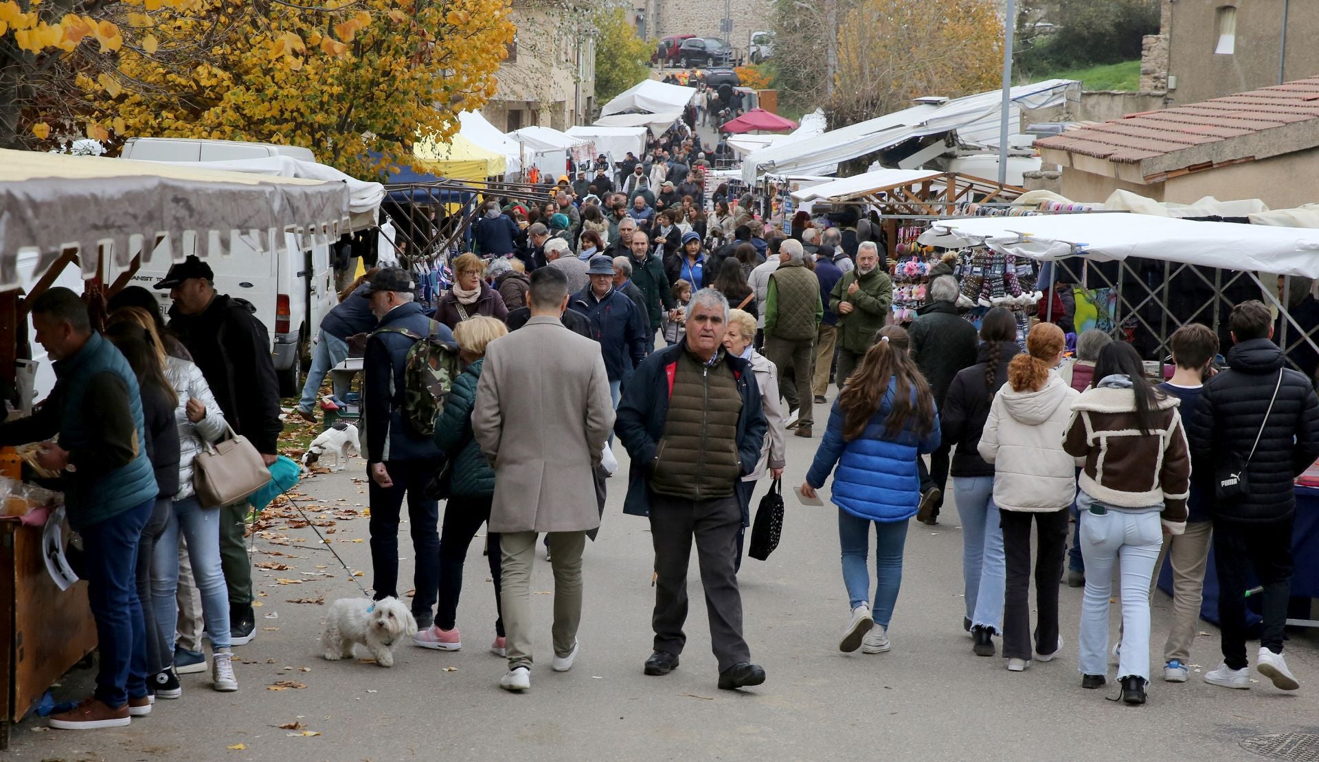 Feria de ganado en Navafría