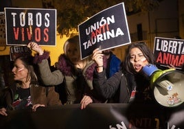 Manifestantes, durante la protesta convocada para reclamar la suspensión definitiva del Toro Jubilo.