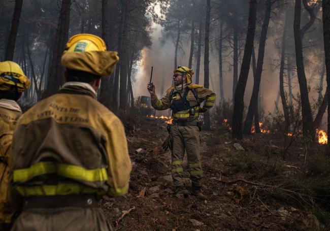 Bomberos forestales, durante el incendio de la Sierra de la Culebra, en Zamora.