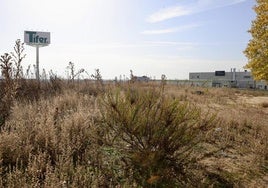 Terreno de la calle Francisco Umbral, junto al supermercado Tifer, que acogerá apartamentos tutelados.