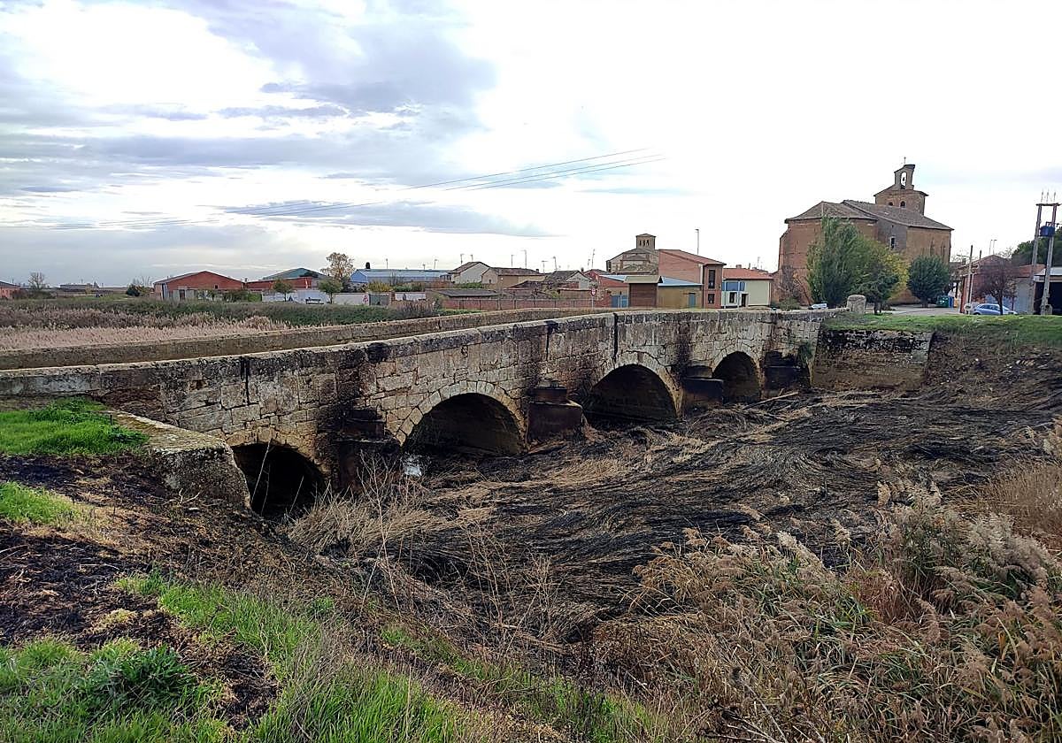 Vegetación del río Sequillo afectada por la quema, al igual que el puente de Boadilla.