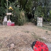 Un 'Bosque Encantado' en medio de la árida Tierra de Campos