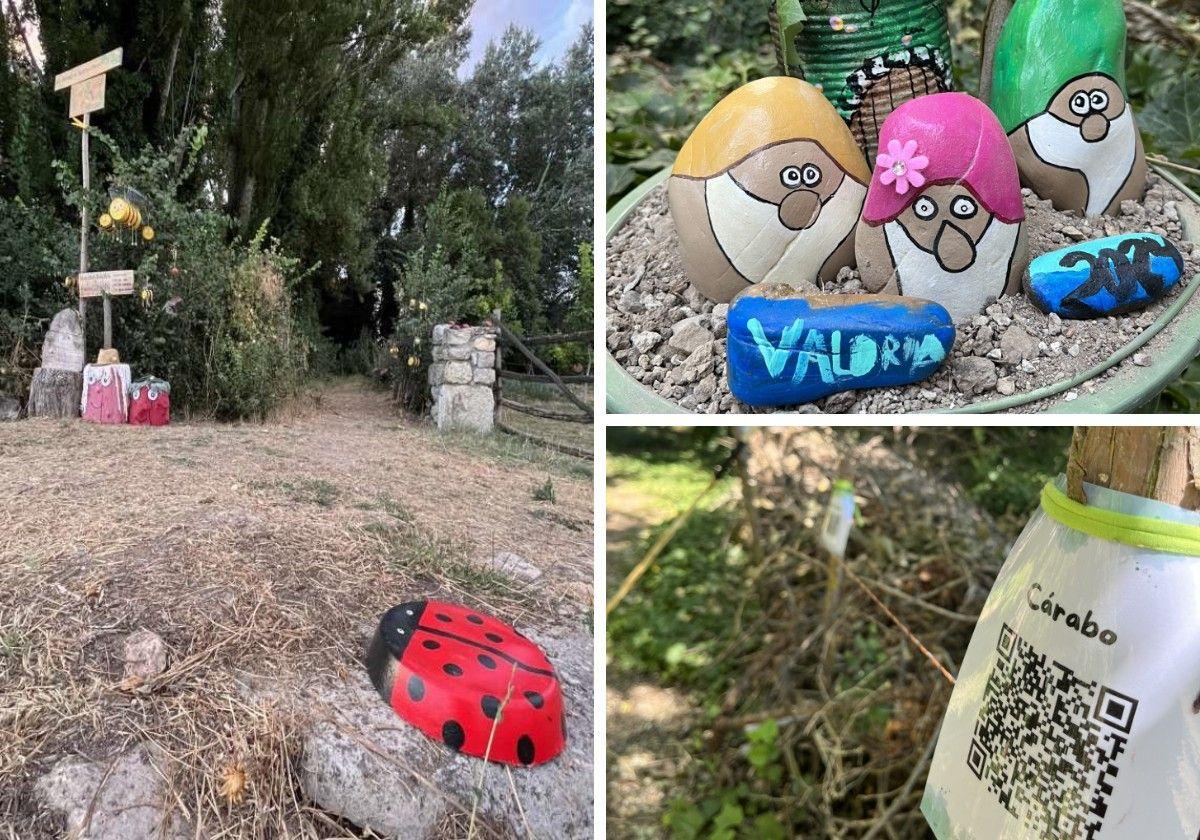 'Bosque Encantado' de Valoria del Alcor, con piedras pintadas y QR de especies de aves.