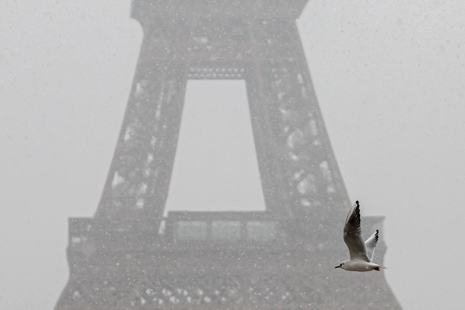 París amanece cubierta de nieve y deja imágenes impresionantes