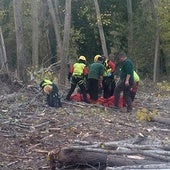 Herido al caerle un tronco en una pierna cuando trabajaba en Aguasal