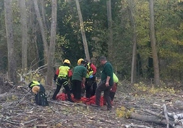 Herido al caerle un tronco en una pierna cuando trabajaba en Aguasal