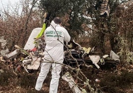 El equipo de criminalística de la Guardia Civil junto a lso restos de la avioneta siniestrada.