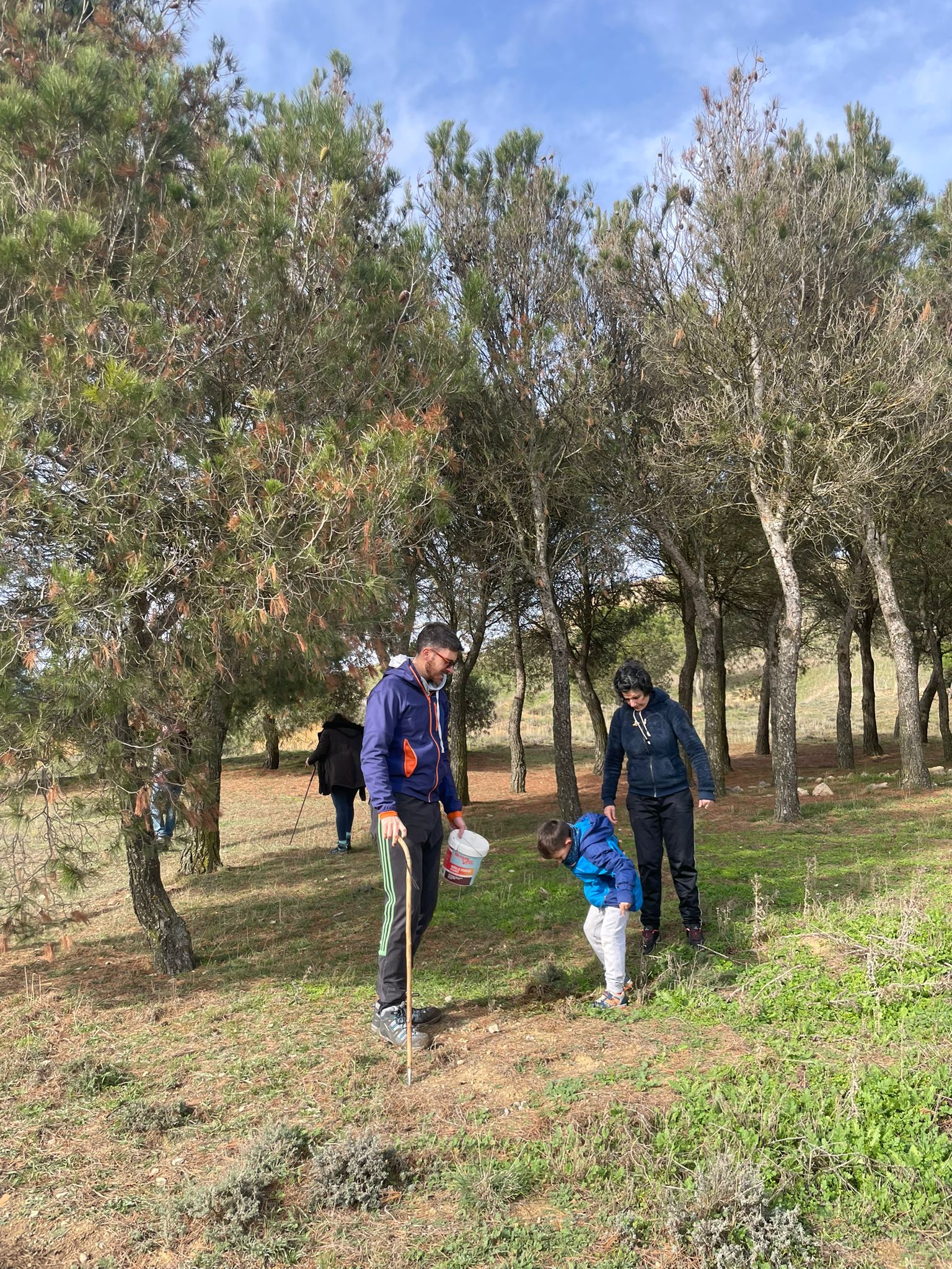 Tordehumos planta más de 600 bellotas en las laderas del castillo