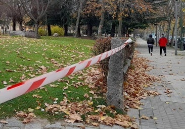 Segovia cierra parques y en La Pinilla el viento sopla a 89 kilómetros por hora